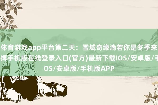 体育游戏app平台第二天：雪域奇缘淌若你是冬季来哈尔滨-亚搏手机版在线登录入口(官方)最新下载IOS/安卓版/手机版APP